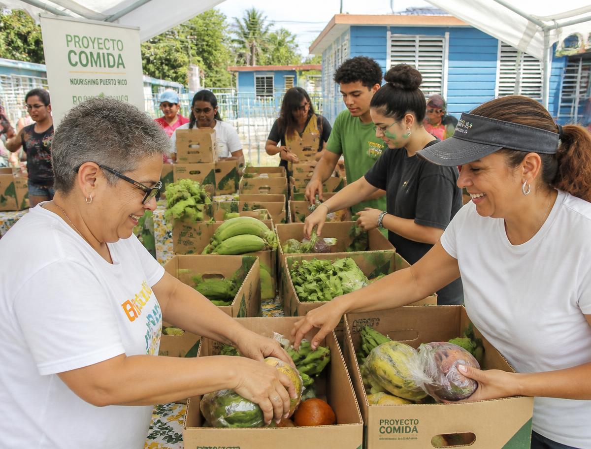 Volunteers packing fresh produce boxes for family distribution